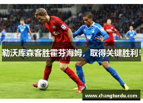勒沃库森客胜霍芬海姆，取得关键胜利！