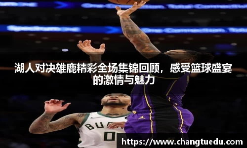 湖人对决雄鹿精彩全场集锦回顾，感受篮球盛宴的激情与魅力